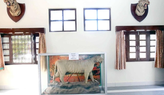 Maharaja Kothi Umaria-Badhavgarh Rd