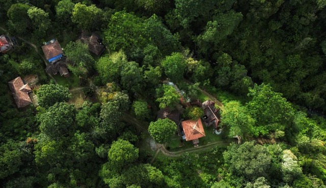 Mahout Resort Wayanad - An Experiential Jungle Stay with Waterfall