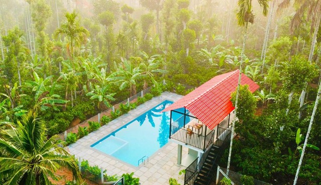 Manayath Wayanad Premium Pool Resort