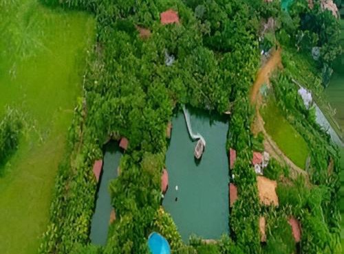 Mango Meadows