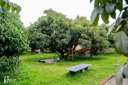Mango Trails - Farm Stay, Camping & Day Outing near Bangalore