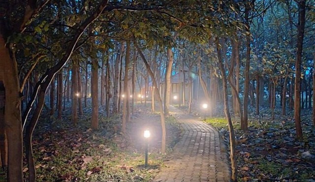 MC RESORT BANDIPUR