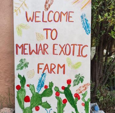 Mewar Exotic Fruit Farm & Farm Stay
