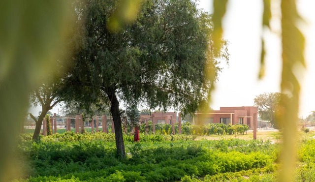 Mharo Khet Jodhpur