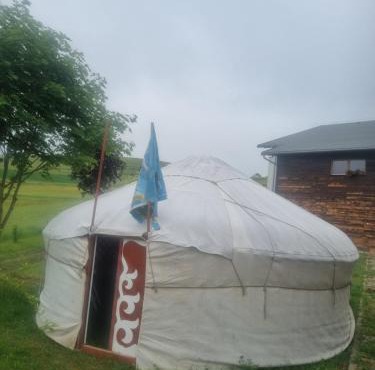 Mongol champing