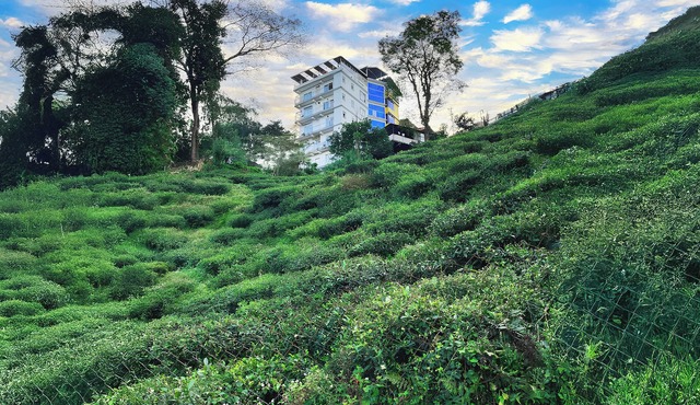 Mount Bashera Boutique Hotel