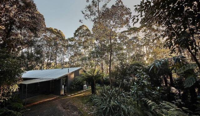 Mountain get-away, nestled in the majestic Mount Toolebewong forest in Mount Toolebewong