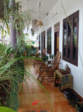 Mountain View Homestay
