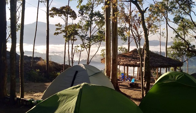 Munnar Jungle Camp