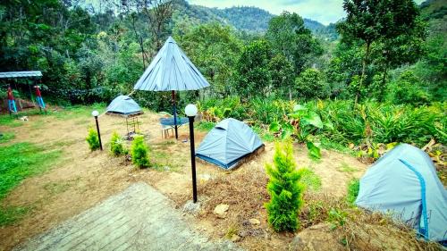Munnar Tent & Rooms