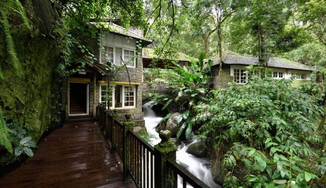 Mystic Mayapott Thekkady