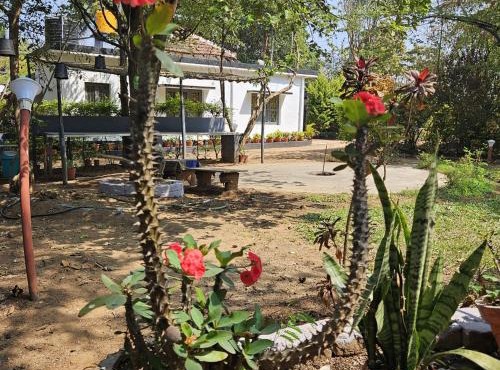 Mysticgreens Home Stay