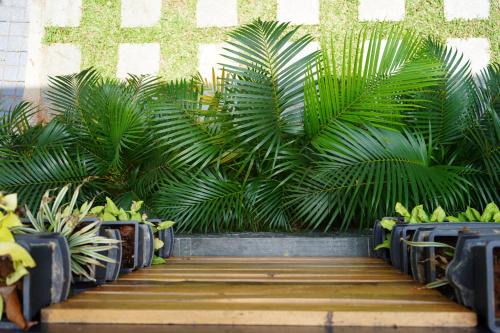 Nature 2BHK AC Villa - Trivandrum