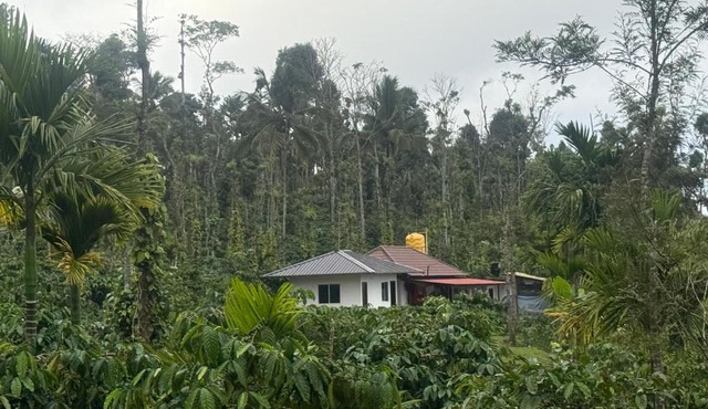Nature stay in Sakleshpur