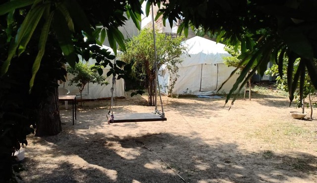 Nature Trail camps & Homestay