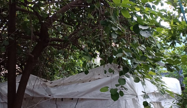 Nature trail camps & homestay