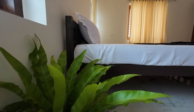 near beach 8 rooms place where peace, quiet & calmness meet