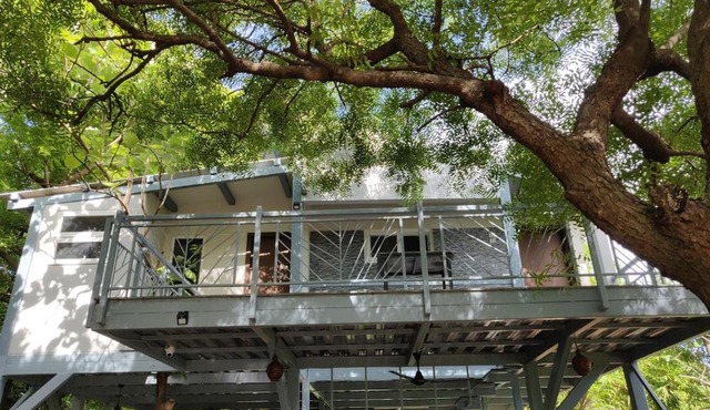Neem Tree Retreat in Pondicherry