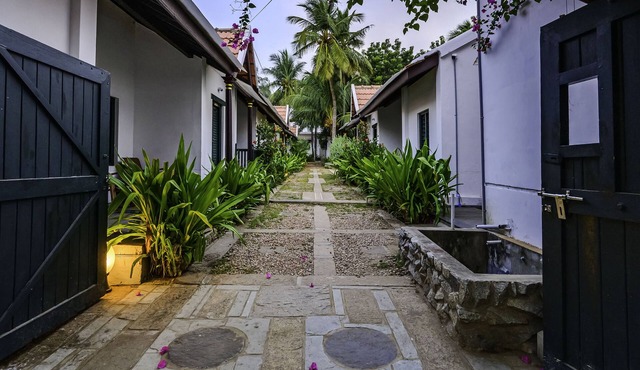 Neemrana's Coconut Alley