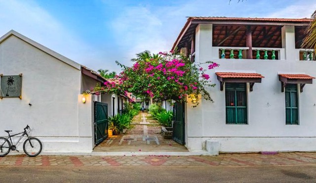 Neemrana's Coconut Alley