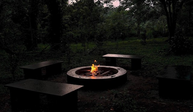 Nephila Farm | CB3 | Quiet | Remote | Nature Haven