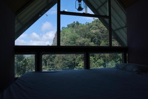 Nest In Mist Inn