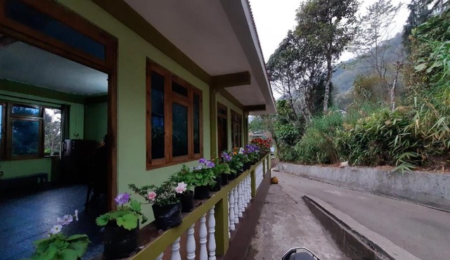 Newa Homestay