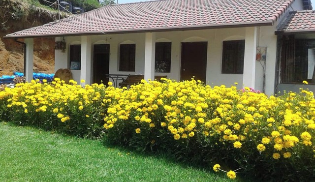 NORSUSTAY a villa with a view of Ooty valley, Pet Friendly