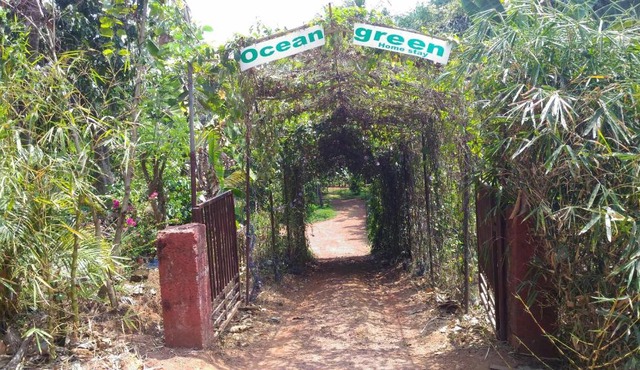 Ocean Green Kerala