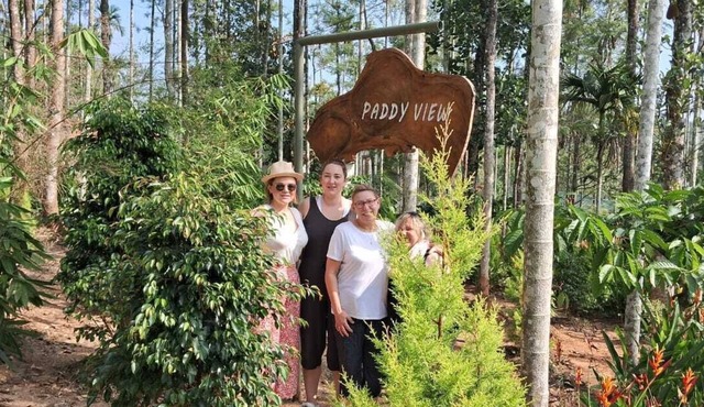 Paddy View Resort