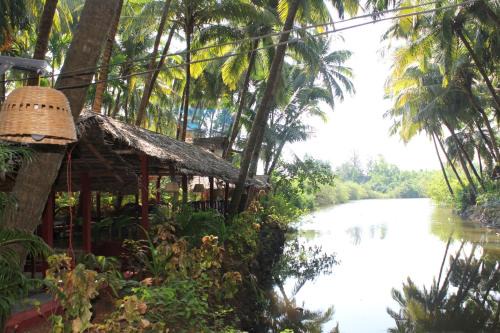 Palm Trees Ayurvedic Heritage