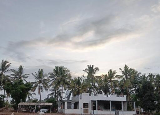 Panjo Kutchdo Farmstay