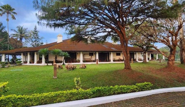Parisons Plantation Experiences by Abad