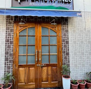 Peaks n Pines
