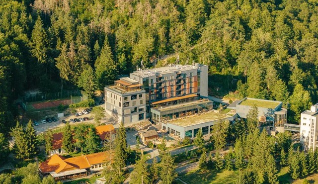 Peakture Hotel Balvanyos in Turia