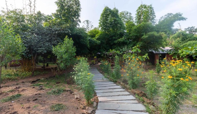 Pench Tiger Camp