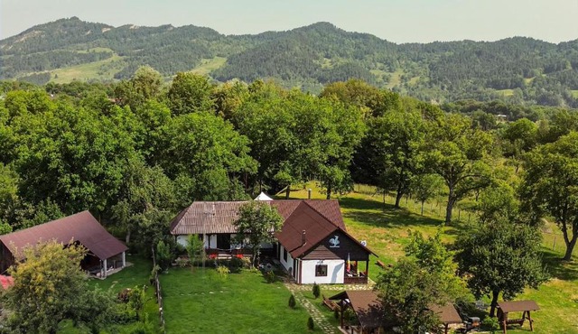 Pensiunea Cocoș in Paltin