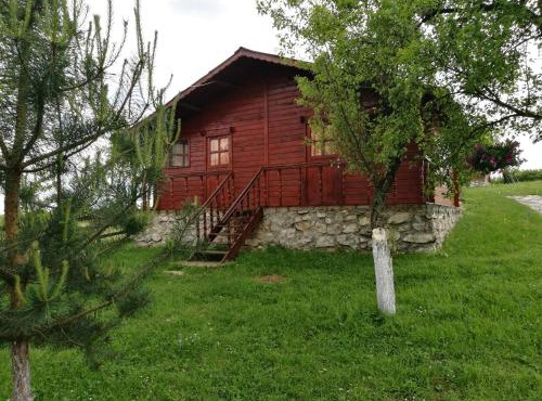 Pensiunea Gernik 100