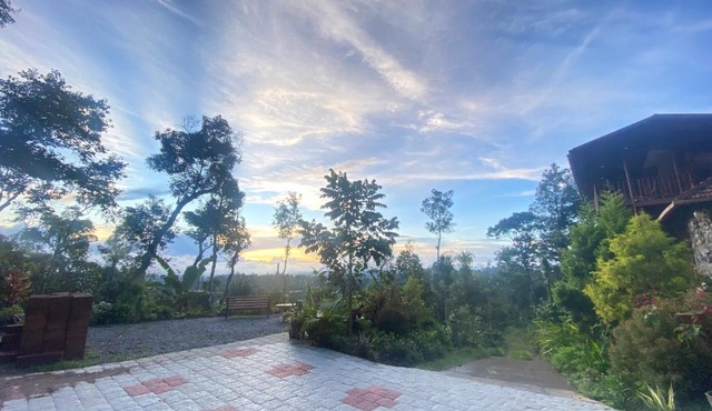 Pepper Berry Hills Coorg