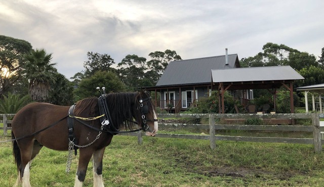 Peppergrove Cottage
