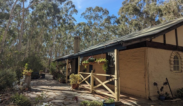 Peppertree Corner, Clare Valley - Dog Heaven! in Stanley Flat