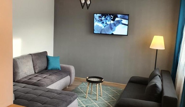 Perfect Stay Apartment Petrosani