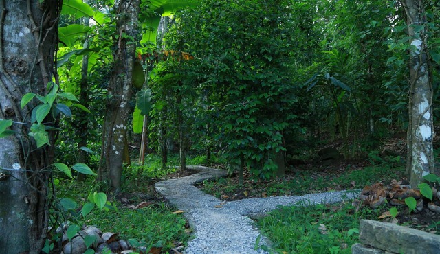 Philip Mary Farm Stay, Thekkady