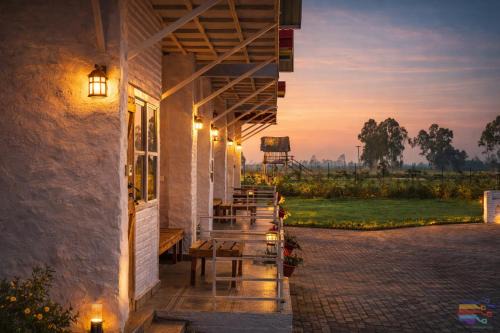 PILIBHIT Forest & Feast - Jungle Stay & Dining