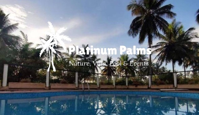 Platinum Palms Villa With Pool