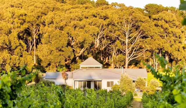 Polperro Winery Villas - Villa 3 in Red Hill