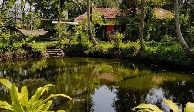 Premium home stay with in-house Ayurveda body massage