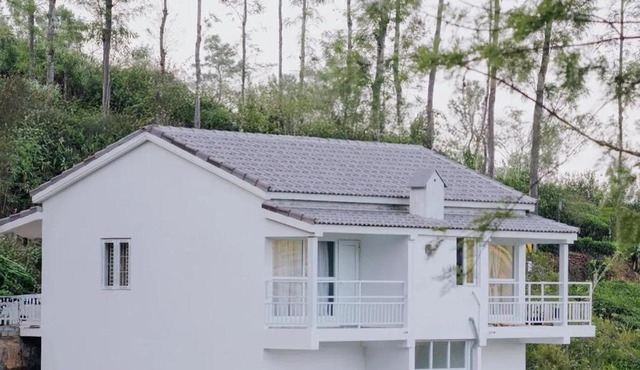 Prithivee Homestay