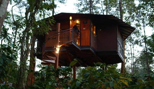 Pugmarks Jungle Resort