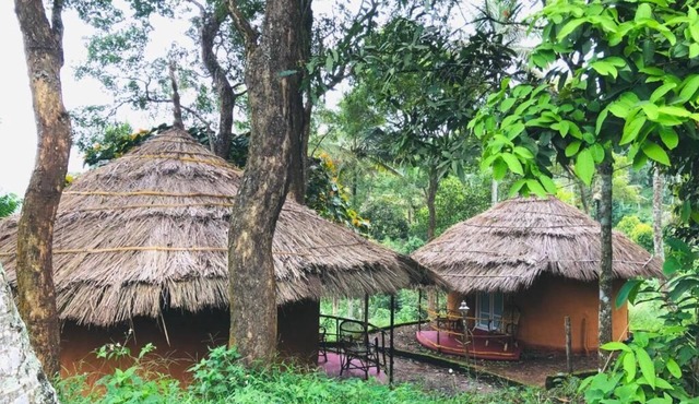 Punarjani Ayurvedic Resorts